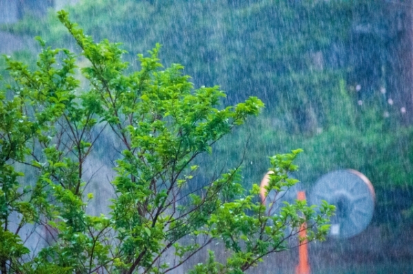 本格的な梅雨に入る前の雨漏り対策