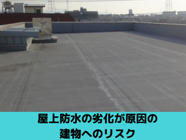 屋上防水の劣化が原因の建物へのリスク｜北九州雨漏り専門店㈱トラストホーム
