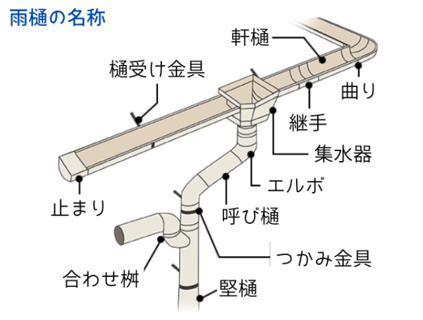 雨樋