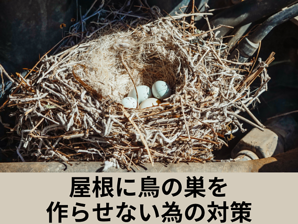 屋根に鳥の巣を作らせない為にできる対策の画像