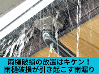 雨樋破損の放置はキケン！雨樋破損が引き起こす雨漏りのイメージ