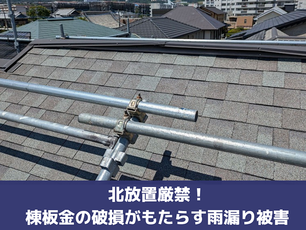 放置厳禁！棟板金の破損がもたらす雨漏り被害の画像