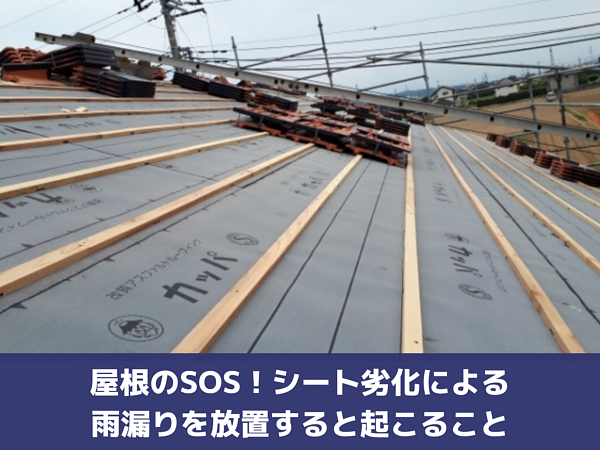 屋根のSOS！シート劣化による雨漏りを放置すると起こることの画像