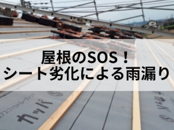 屋根のSOS！シート劣化による雨漏りを放置すると起こることの画像