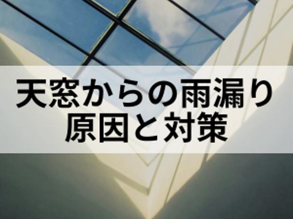 天窓からの雨漏り原因と対策の画像